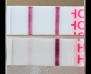 MMC followed by ECTOPIC- HOPE?