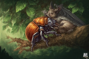 The Bluestocking - holding the line and losing the thread