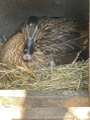 January 2025 Starters - Thread 10 - Onward & Downward Losers!