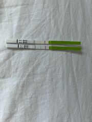 Ttc are these ovulation tests positive