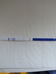 Is this what an evap is?