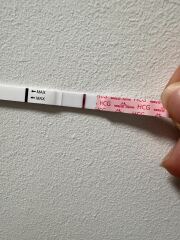 Anyone just starting their TWW? 🐥 TTC April Baby 👶🏻 💕 🌱