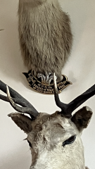 Royal Style: High Summer, The Chic Continues