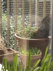 The One after the One where the Excellent Cats posed for a calendar