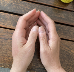 When to worry about an insect bite?