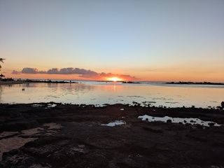 Sunset dive bomb