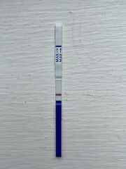 Something catching my eye?