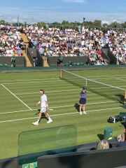 WIMBLEDON - scattered seeds in SW19