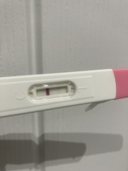 Is this an evaporation or positive BFP?