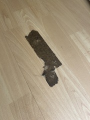 Flooring repair