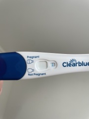 Am I pregnant- line ?