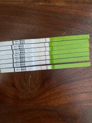 Ttc are these ovulation tests positive