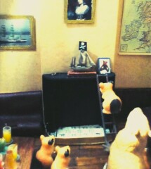 The Bluestocking - holding the line and losing the thread