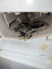 Can this disgusting washing machine be saved?