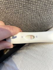 Can anyone see a faint line?