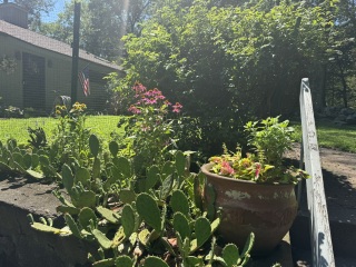 Come and tell us your dull and unexciting news 34: Calmly through the day