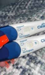 Evap line or pregnant?