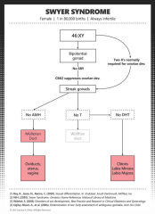 "Biological sex is a multidimensional variable with various components" - Discuss
