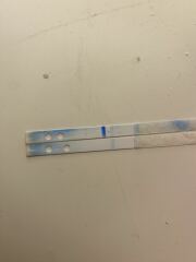 Am I Pregnant?