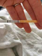 June/July TTC Thread❤️