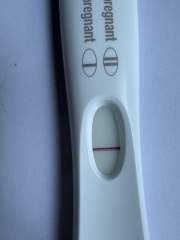 8dpo.