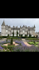 Royal Style: High Summer, The Chic Continues