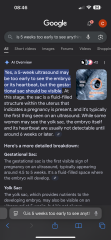 5 week scan…