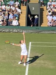 WIMBLEDON - scattered seeds in SW19