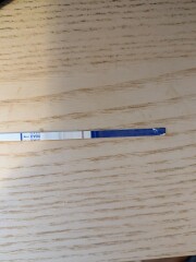 Is this what an evap is?