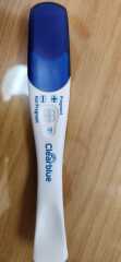 Pregnancy Line Progression