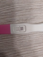 Is this a new pregnancy 4 weeks after loss