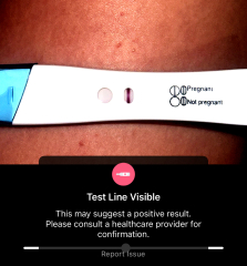 Pregnancy test