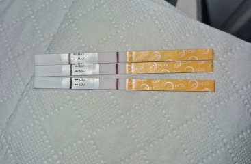 9 DPO, does anyone see anything on these tests