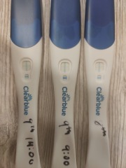 Is this a new pregnancy 4 weeks after loss