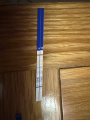 DPO
