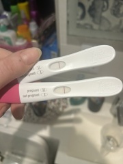 11dpo faint lines