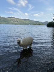 Lake District with teenagers