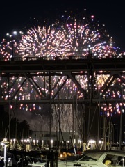 Come and tell us your dull and unexciting news 34: Calmly through the day