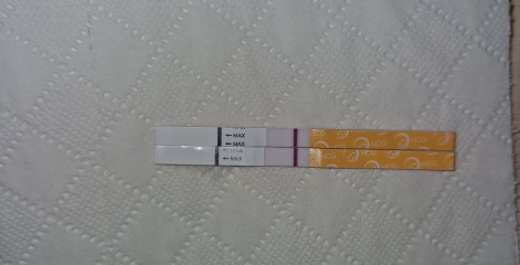 9 DPO, does anyone see anything on these tests