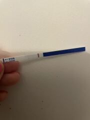 Line eyes please! Am I going mad?