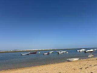 Year round Nigel Slater discussion thread Part 2