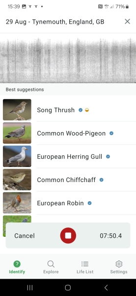 Merlin App Appreciation plus General Birding Chat