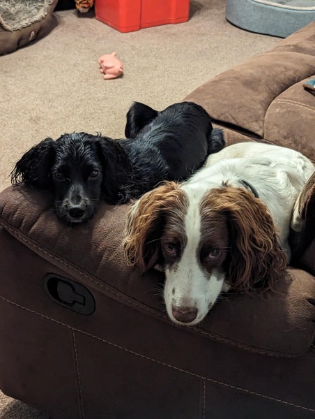 Our Cosmic Autumn Rebellion (Adolescent Support Group)