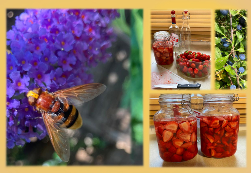 Year round Nigel Slater discussion thread Part 2