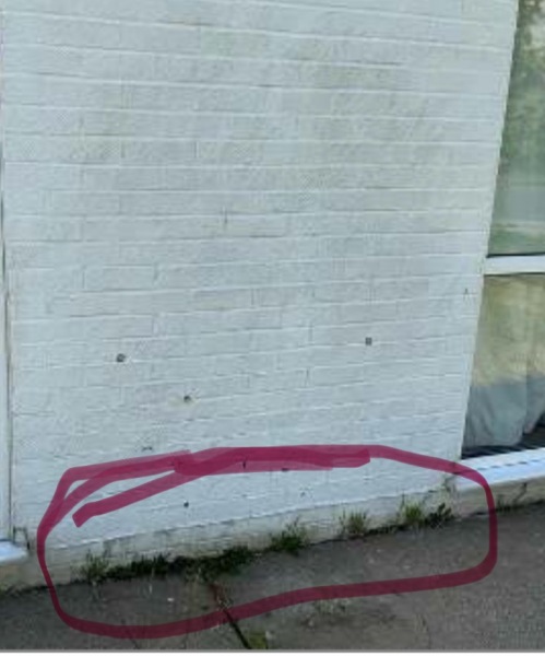 Is this grass growing too close to property?