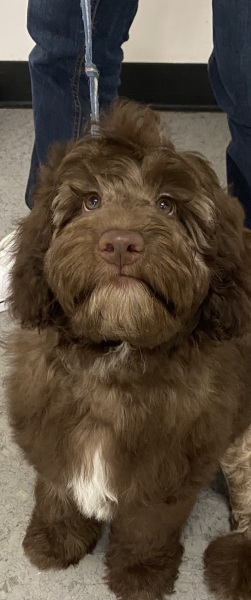 Show me you groom-day pics!