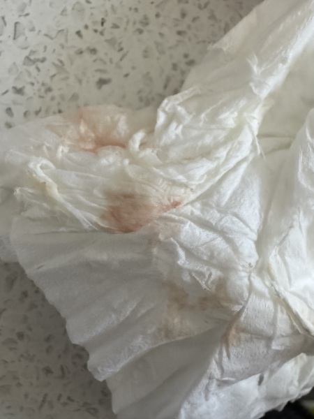 Faint positives then possibly implantation bleed?