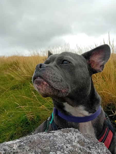 Continuing support thread for those trying to live an alcohol free life - summer 2025