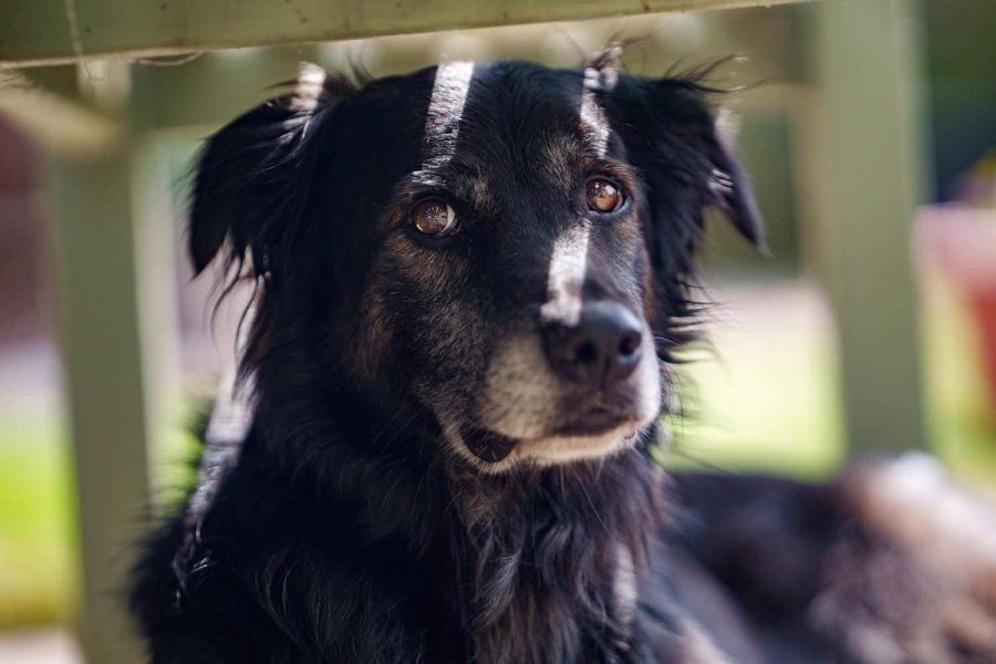 Was anyone else at Snape Maltings today? Did Alan get his table?