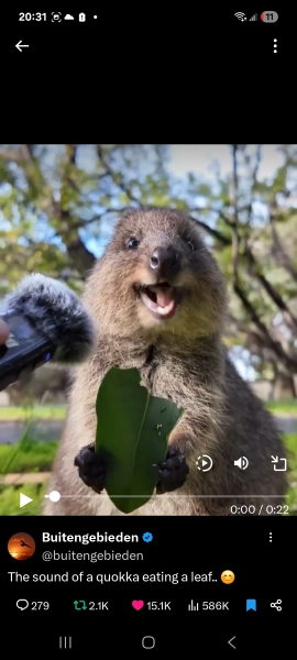 The Bluestocking Pub - Withered Old Haggis edition.